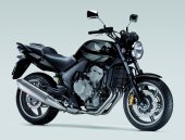 2009 Honda CBF600 photo